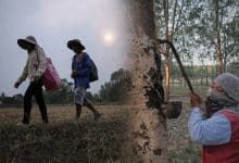 Border villagers return home, but remain cautious over ceasefire | Thaiger