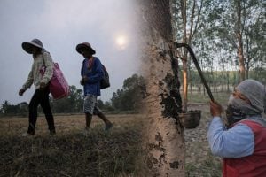 Border villagers return home, but remain cautious over ceasefire | Thaiger
