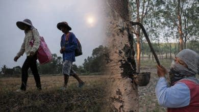 Border villagers return home, but remain cautious over ceasefire | Thaiger