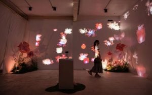 What to do in Bangkok this weekend (December 19 to 21) | Thaiger