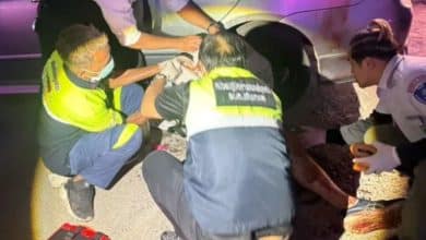 Foreign suspect flees after stabbing British man outside Phuket nightclub | Thaiger