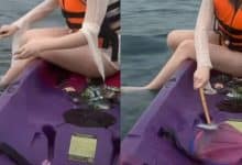 Thai netizens demand probe after Chinese tourist catches fish in Phuket for fun | Thaiger