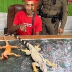 Phuket man arrested for forcing tourists to pay for iguana photos | Thaiger