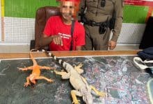 Phuket man arrested for forcing tourists to pay for iguana photos | Thaiger