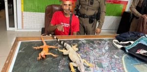 Phuket man arrested for forcing tourists to pay for iguana photos | Thaiger
