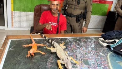 Phuket man arrested for forcing tourists to pay for iguana photos | Thaiger