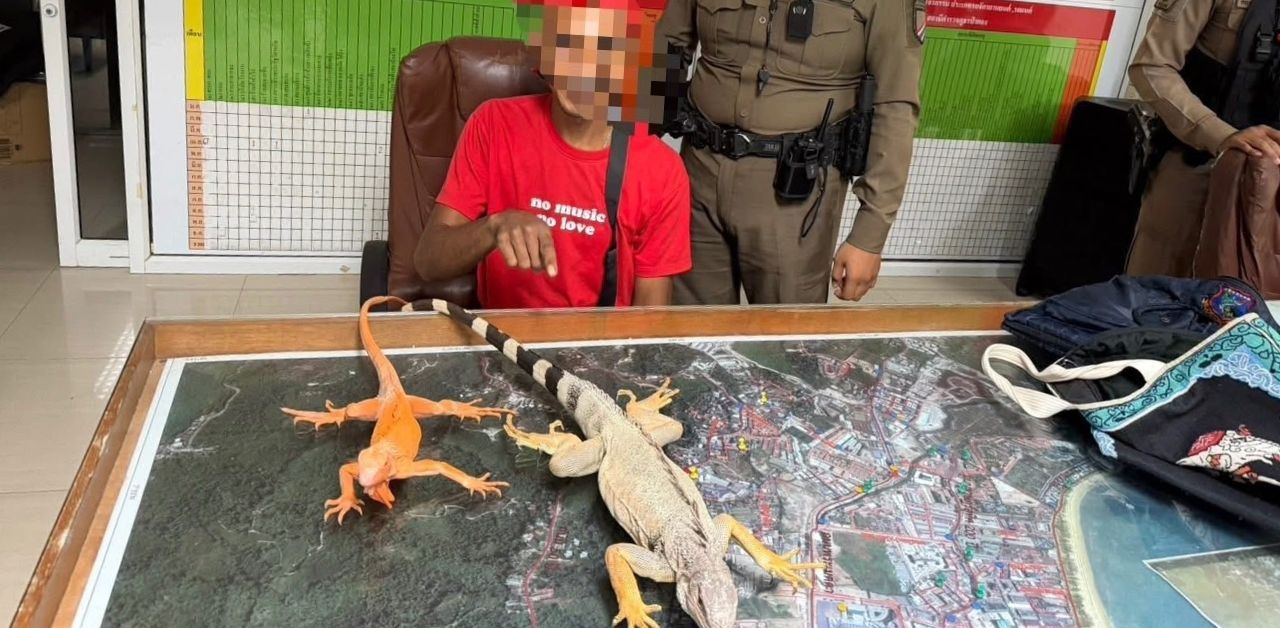 Phuket man arrested for forcing tourists to pay for iguana photos | Thaiger