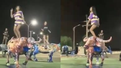 Chon Buri teens turn themselves in after viral buffalo statue dance | Thaiger