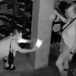 Foreign woman slammed for urinating outside Koh Tao restaurant | Thaiger