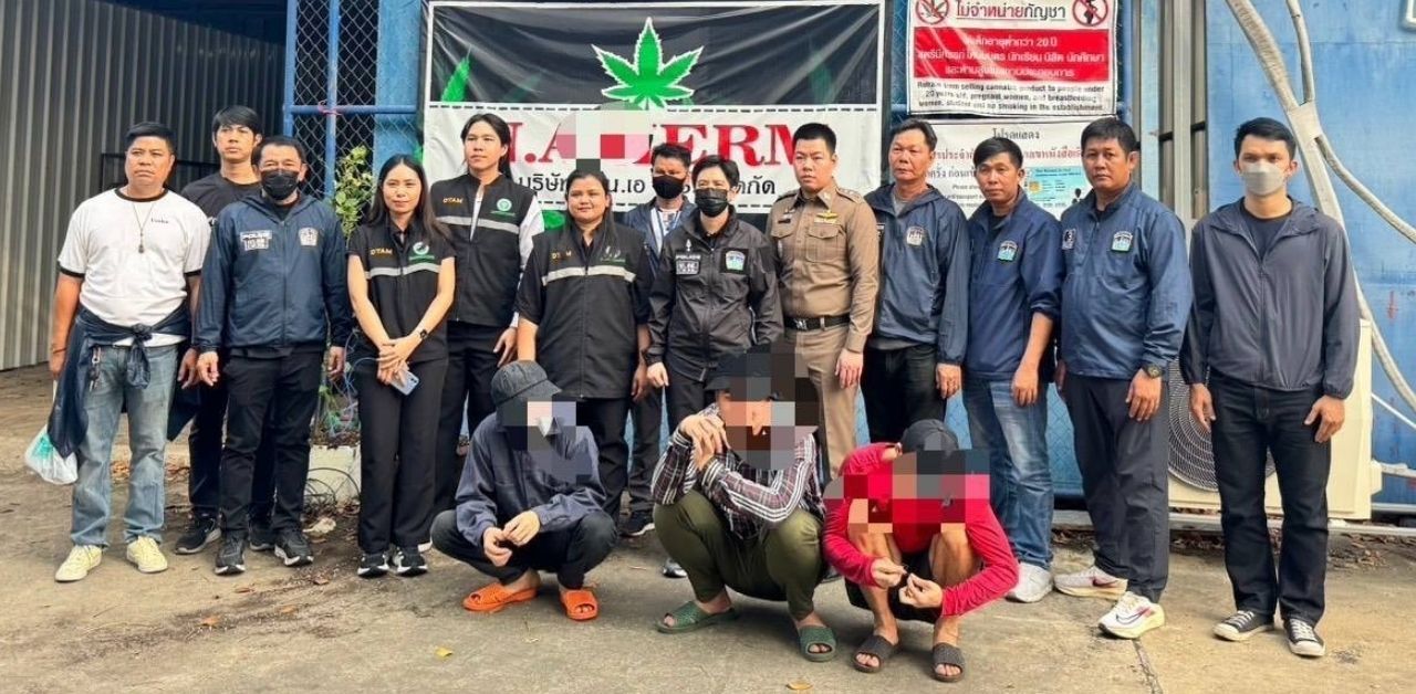 Three Vietnamese men arrested for illegal cannabis farm