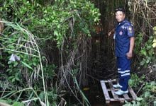Thai fisherman finds headless body in marshland in Bangkok | Thaiger