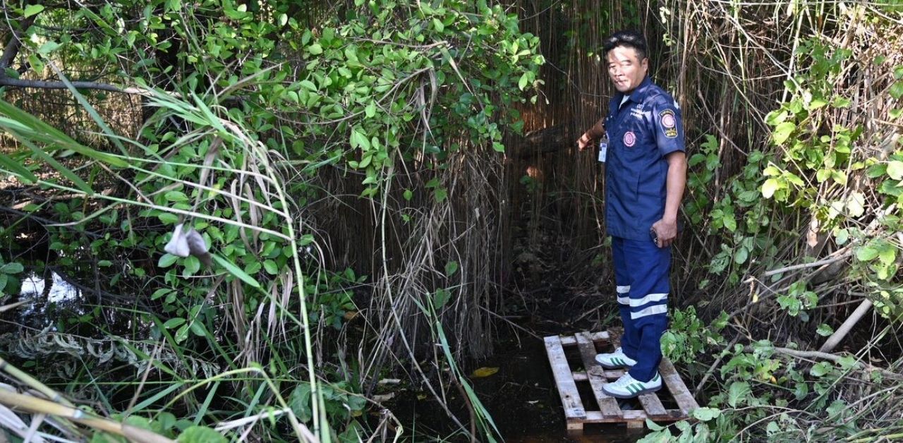Thai fisherman finds headless body in marshland in Bangkok | Thaiger