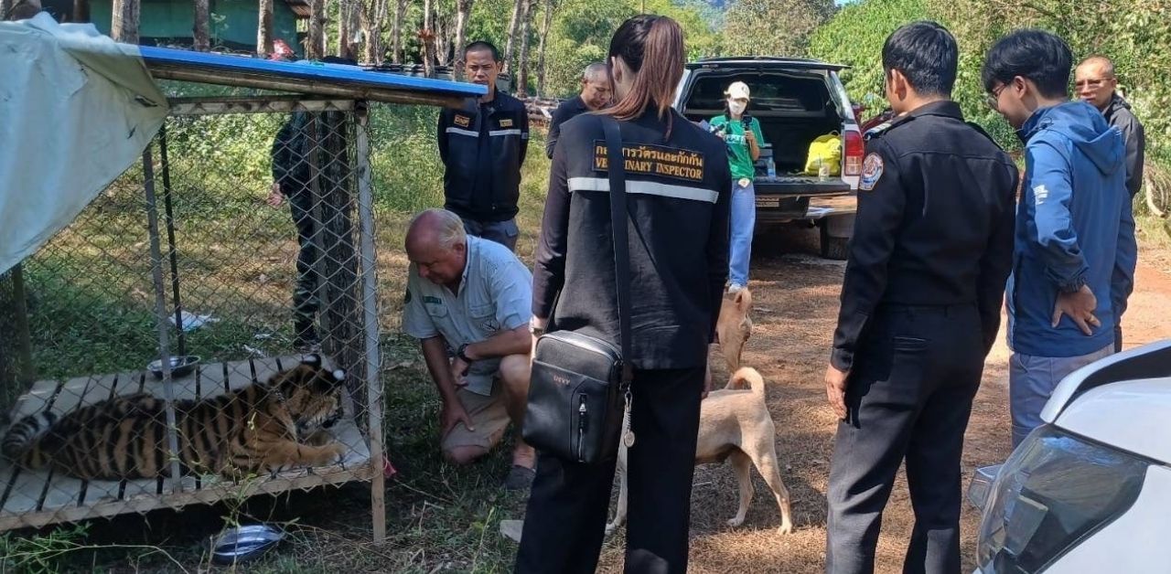 Wildlife foundation led by Dutch man denies tiger trafficking