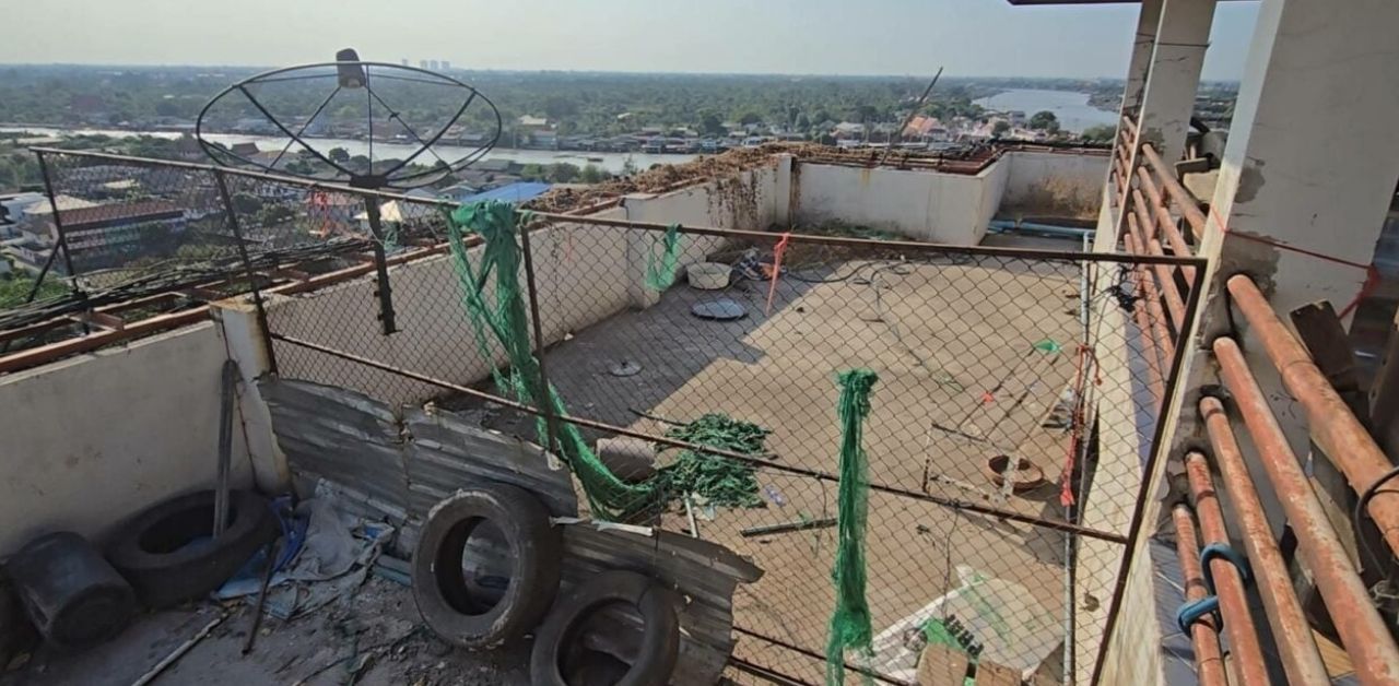 Condo rooftop turned dog farm