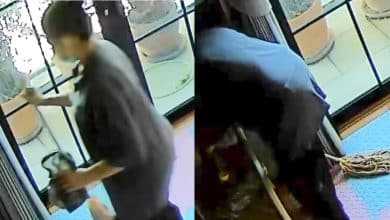 CCTV exposes Thai housemaid pouring disinfectant into baby’s bottle | Thaiger