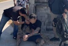 Another Chinese suspect arrested in Pattaya bar stabbing that injures 3 guards | Thaiger