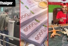 Thailand video news | Thai immigration tightens visa-free entry checks, Thai monk triggers online buzz with rollerblade travel in Phitsanulok | Thaiger