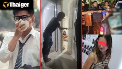 Thailand video news | Bangkok braces for rising PM2.5 levels, Siam Paragon celebrates 20 years with grand showcase of art, design, and imagination | Thaiger