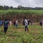 Headless body found in Nakhon Sawan field sparks murder probe | Thaiger