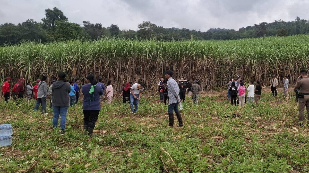 Headless body found in Nakhon Sawan field sparks murder probe | Thaiger