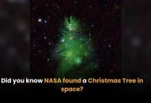 Did you know NASA found a Christmas Tree in space? | Thaiger