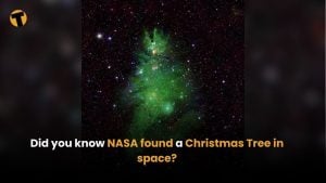 Did you know NASA found a Christmas Tree in space? | Thaiger