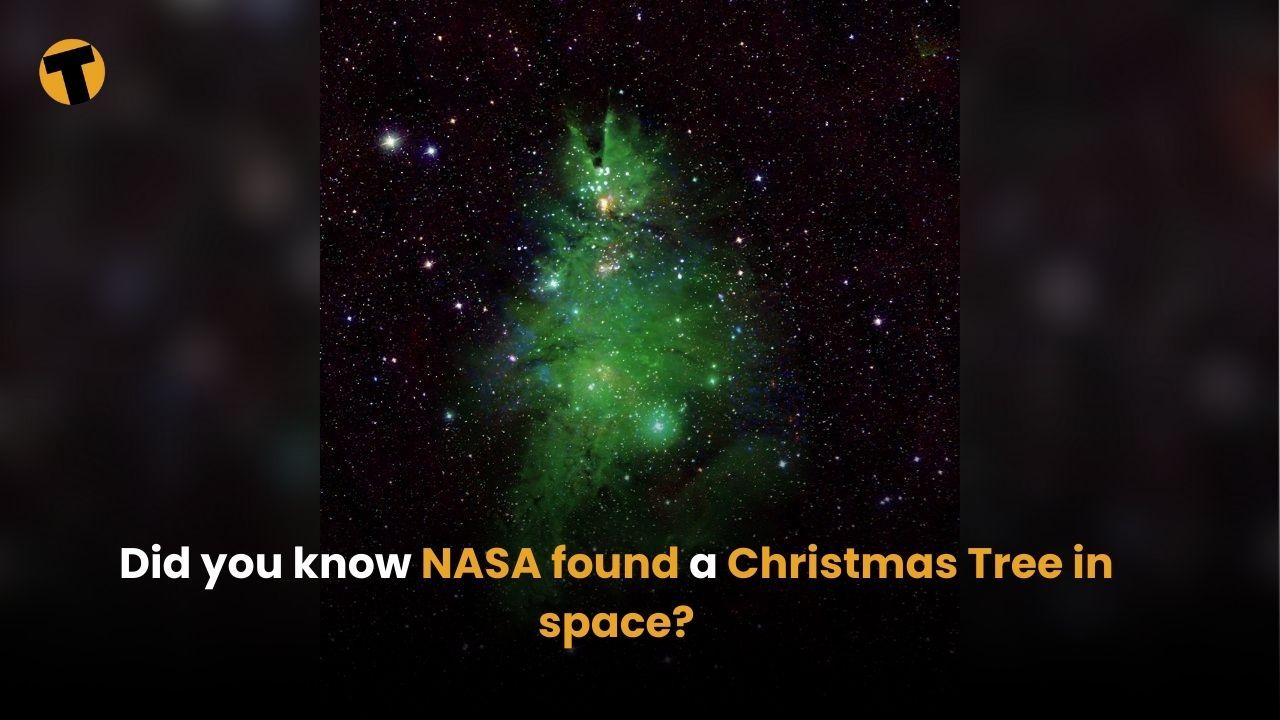 Did you know NASA found a Christmas Tree in space? | Thaiger