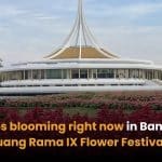See Tulips blooming right now in Bangkok at Suan Luang Rama IX Flower Festival 2025 | Thaiger