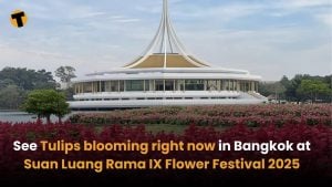 See Tulips blooming right now in Bangkok at Suan Luang Rama IX Flower Festival 2025 | Thaiger
