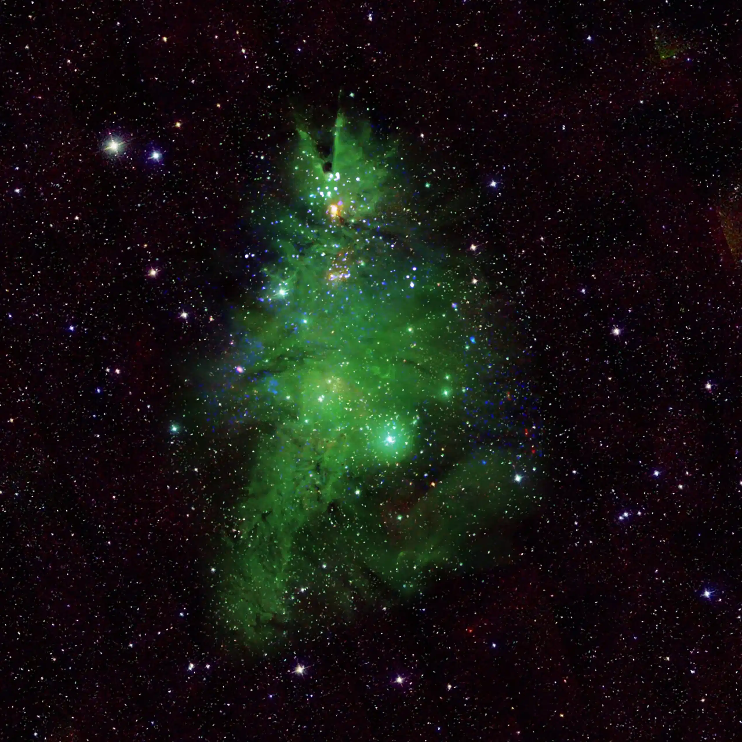 The Christmas Tree Cluster features young stars resembling a festive evergreen adorned with glowing lights.