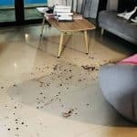 Canadian mother arrested in Phuket for assaulting her two children | Thaiger