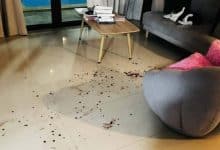 Canadian mother arrested in Phuket for assaulting her two children | Thaiger