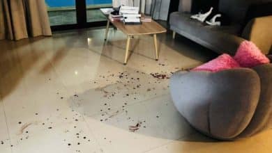 Canadian mother arrested in Phuket for assaulting her two children | Thaiger