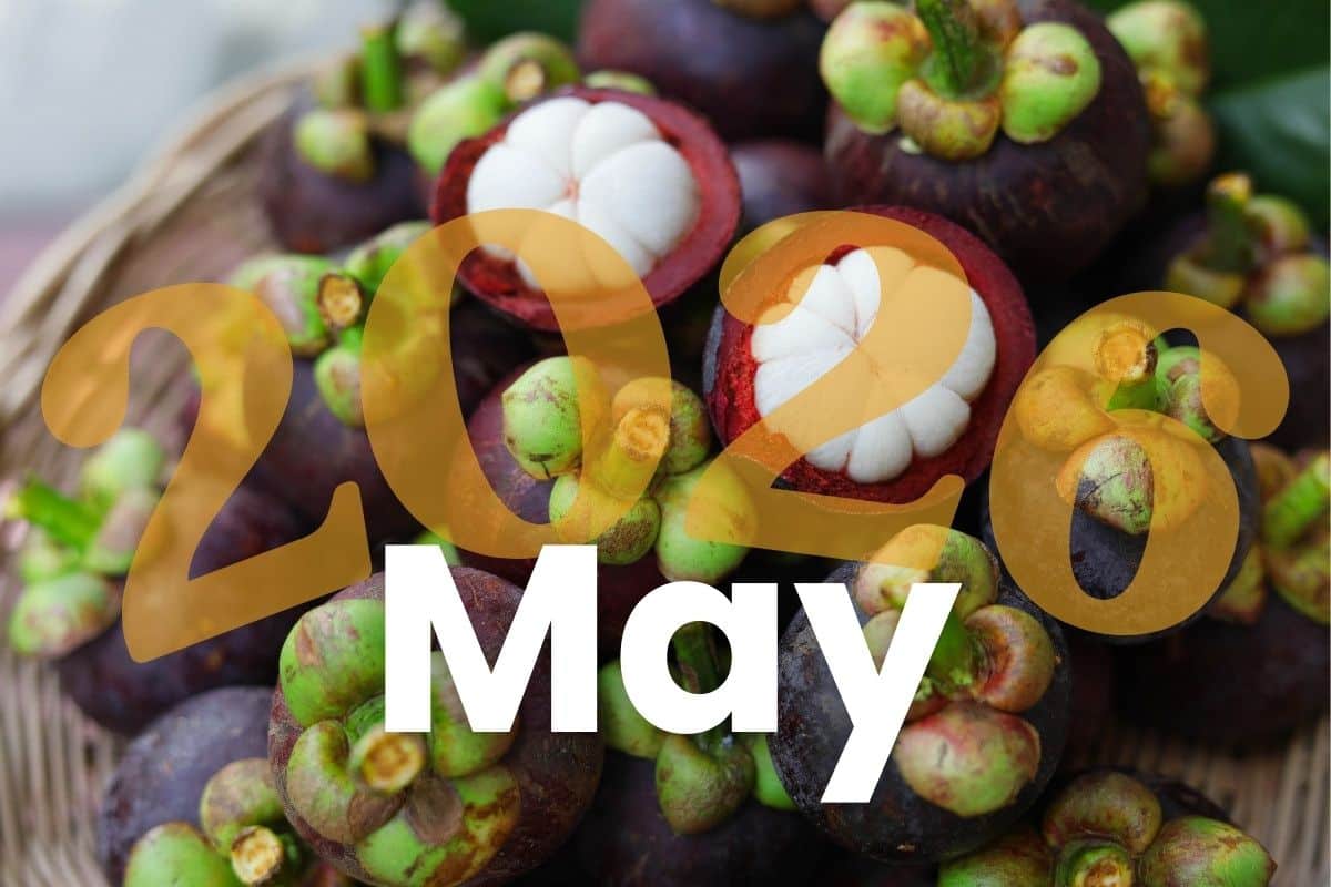 Public holidays and observances in Thailand (2026) | News by Thaiger