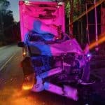 Van collision injures driver as wild elephant crosses road | Thaiger