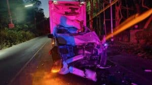 Van collision injures driver as wild elephant crosses road | Thaiger