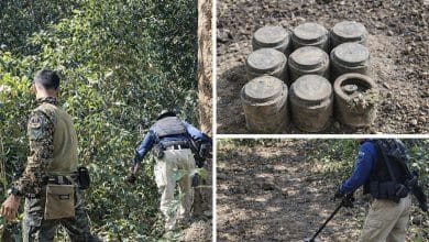Nine landmines found during border clearance in Surin | Thaiger