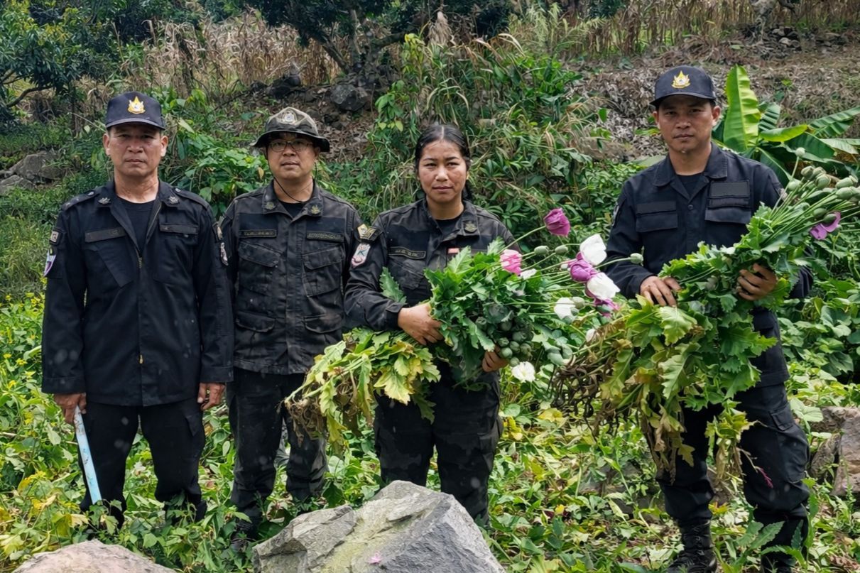 Officials destroy opium plantation in raid | News by Thaiger