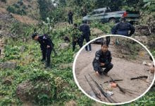 Officials destroy opium plantation in raid | Thaiger