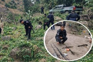 Officials destroy opium plantation in raid | Thaiger
