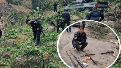 Officials destroy opium plantation in raid | Thaiger