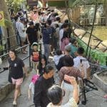 Thailand’s national parks see 1.5M visitors during New Year break | Thaiger