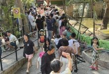 Thailand’s national parks see 1.5M visitors during New Year break | Thaiger