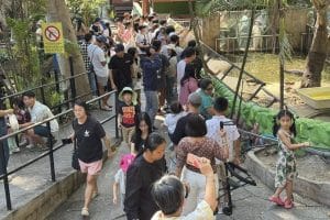 Thailand’s national parks see 1.5M visitors during New Year break | Thaiger