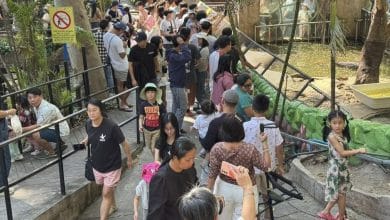 Thailand’s national parks see 1.5M visitors during New Year break | Thaiger