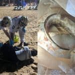 Venomous fish sting leaves man numb on Jomtien Beach | Thaiger