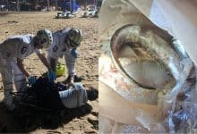 Venomous fish sting leaves man numb on Jomtien Beach | Thaiger