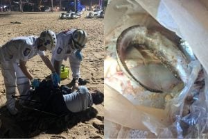 Venomous fish sting leaves man numb on Jomtien Beach | Thaiger