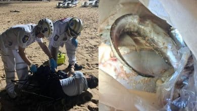 Venomous fish sting leaves man numb on Jomtien Beach | Thaiger