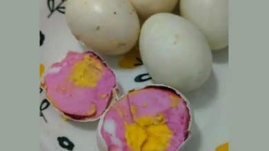 Cute or contaminated? Woman finds pink egg white after boiling | Thaiger